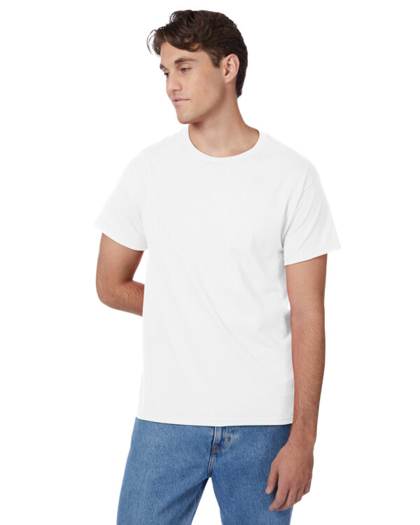 Hanes Men's Authentic-T T-Shirt 5250T