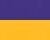 Purple/ Gold