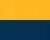 Gold/ Navy