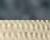 Navy/ Tan